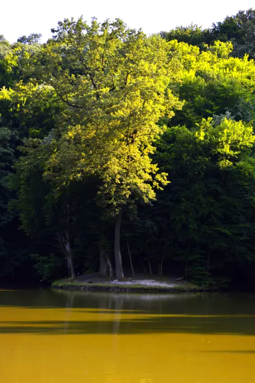 Horgászhely: Tókaji Parkerdő