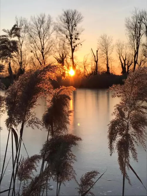 Horgászhely: Tőzeg-tó