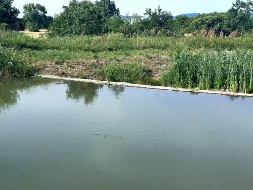 Szerencs-patak - Galéria kép