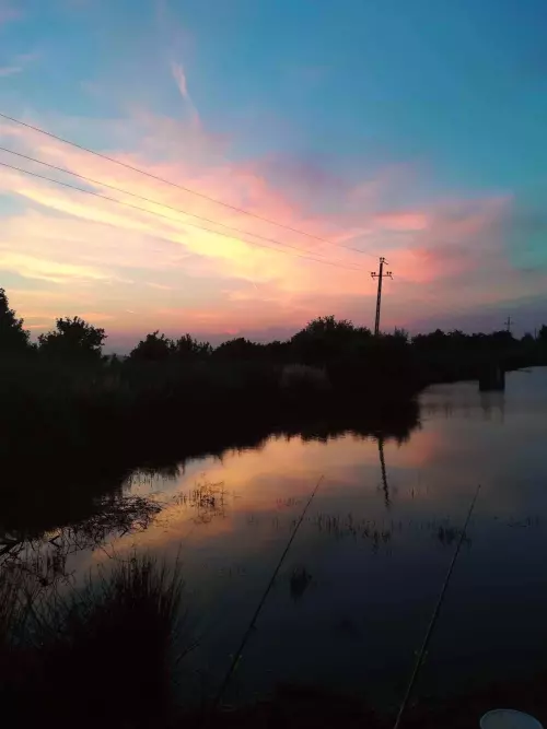 Muzsla-tó - Galéria kép