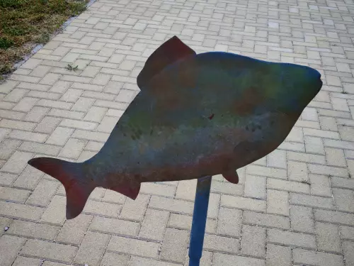 Bakonycsernyei Horgásztó - Galéria kép