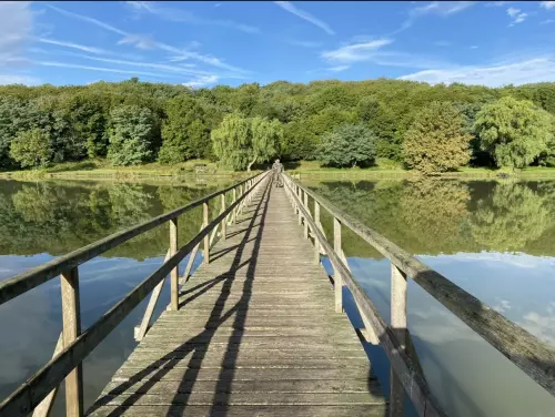 Erdősmároki horgásztó - Galéria kép