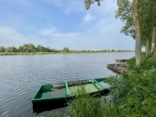 Nagy‑Morotva holtág - Galéria kép