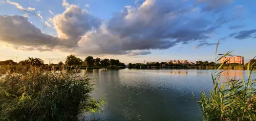 Palotavárosi-tavak - Galéria kép