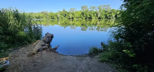 Mártélyi Tisza-holtág - Galéria kép