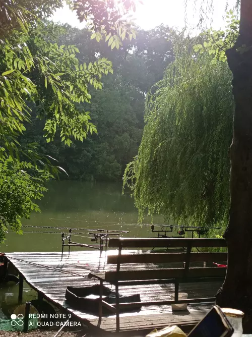 Bónom-zug - Galéria kép