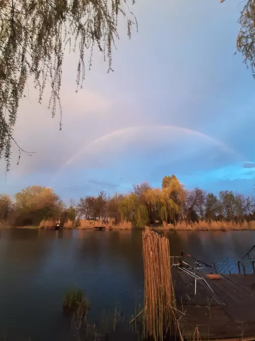 Danzug-holtág - Galéria kép