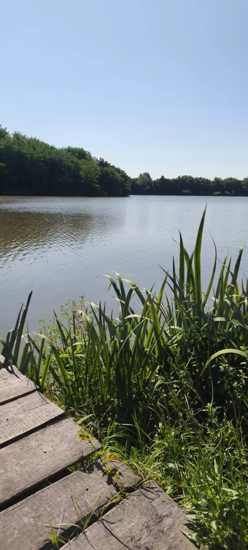 Horgászhely: Szőkei horgásztavak