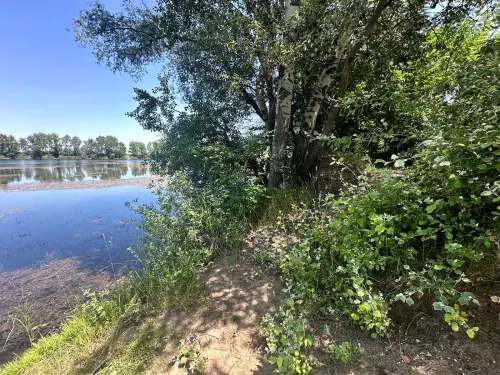 Hejőkürti homokbányató - Galéria kép