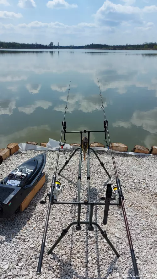 Horgászhely: Palini Tó