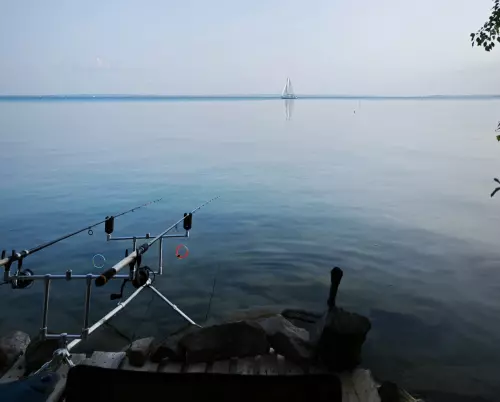 Balatonfűzfői partszakasz - Galéria kép