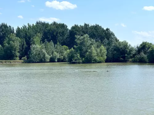 Csónakázótó és Szabadidőközpont - Galéria kép