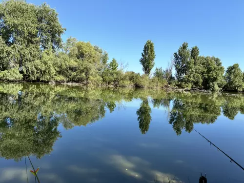 Horgászhely: Nagy Tehenes Holt-Körös