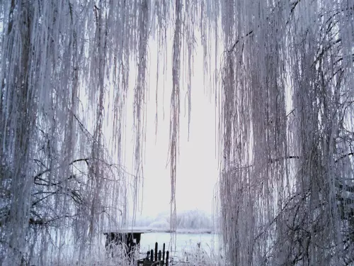 Császárszállás-Oláhréti víztározó - Galéria kép
