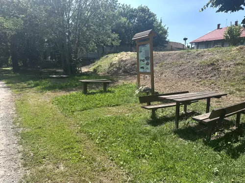 Bodrog folyó - Galéria kép