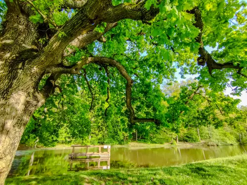 Horgászhely: Váraljai horgásztó