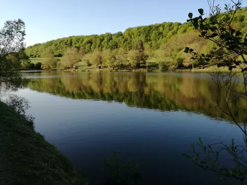 Horgászhely: Mecsekpölöskei horgásztó