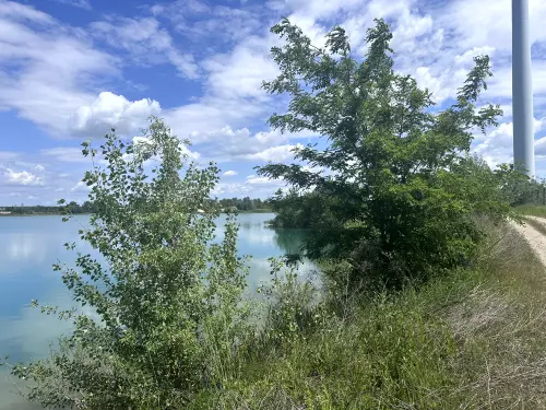 Alsózsolcai Házgyári-tó - Galéria kép