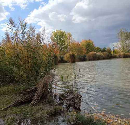 Kunság tava horgásztó - Galéria kép