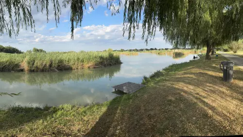 Nádaspart Horgásztó és Szabadidőközpont - Galéria kép