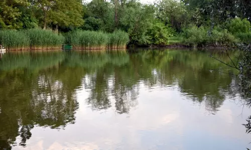 Zengő II. Horgásztó - Galéria kép