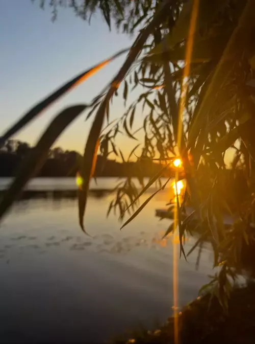 Horgászhely: Szabics kikötő