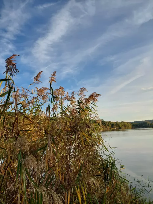 Szálkai-tó - Galéria kép