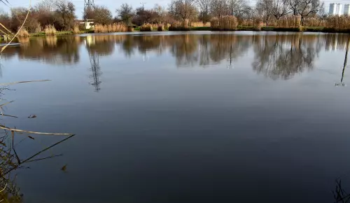 Benta tavak - Galéria kép