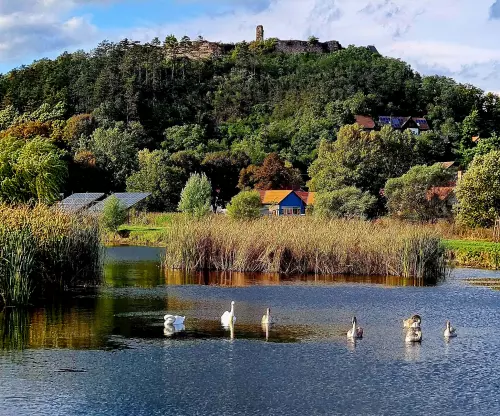 Nógrádi tó - Galéria kép