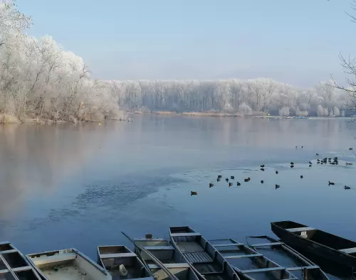 Mártélyi Tisza-holtág - Galéria kép