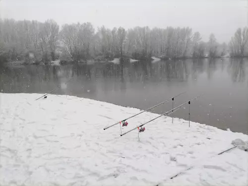 Erdészeti tó - Galéria kép