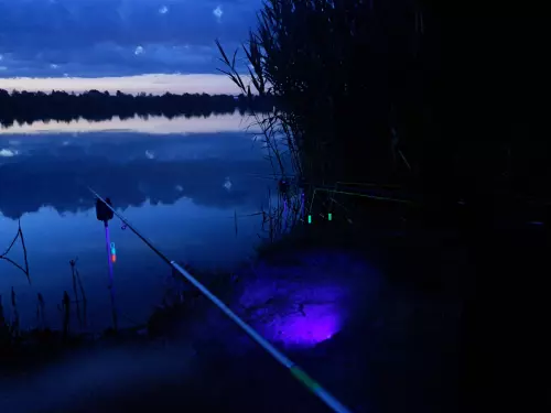 Fás-tó - Galéria kép