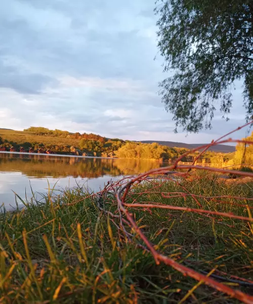 Horgászhely: Római-tó