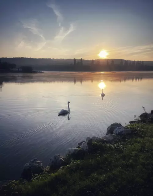 Gyermelyi Horgásztó - Galéria kép