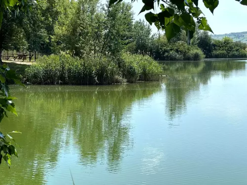 Sajószentpéteri halastó - Galéria kép