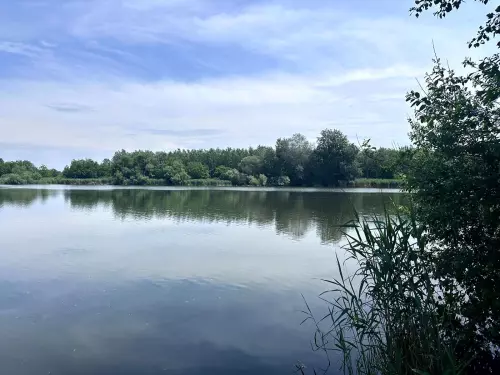 Tiszaladányi Holt-Tisza - Galéria kép