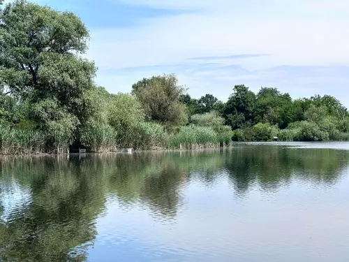 Tiszaladányi Holt-Tisza - Galéria kép