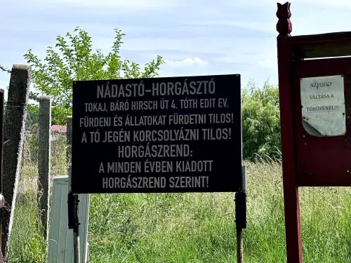 Nádastó - Galéria kép