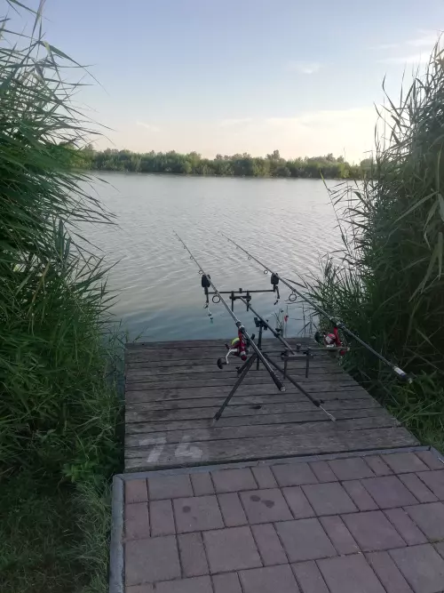 Horgászhely: Akasztói Horgászpark