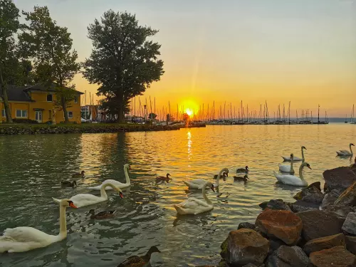 Horgászhely: Balatonfüredi partszakasz