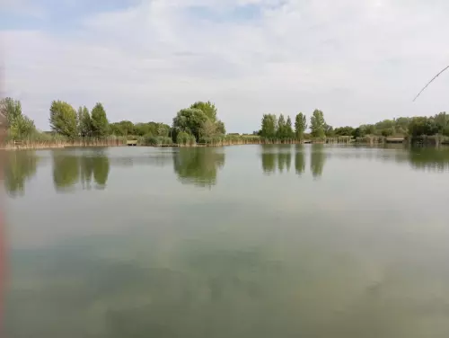 Borsosgyőri-tó - Galéria kép