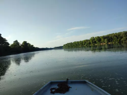 Lehőcz holtág horgászhely képe – Tolna