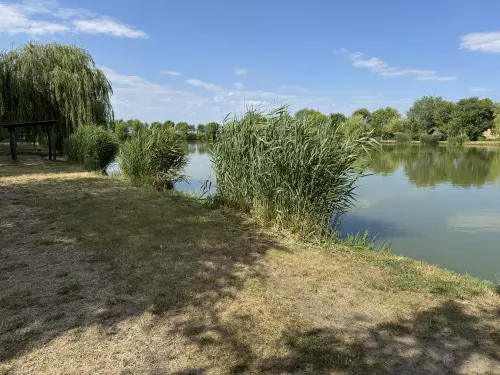 Sáska horgásztó - Galéria kép