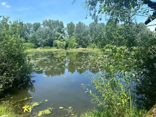 Berek holtág - Galéria kép