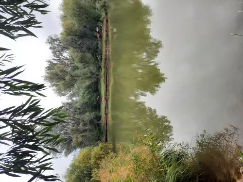 Látóhegyi tavak - Galéria kép