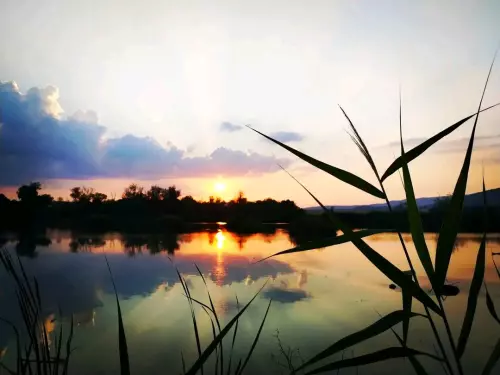 Nagyrédei horgásztó - Galéria kép