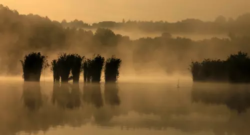 Horgászhely: Hermann Ottó-tó