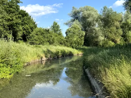 Bán patak - Galéria kép