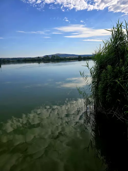 Nagybivalyos Horgásztó - Galéria kép