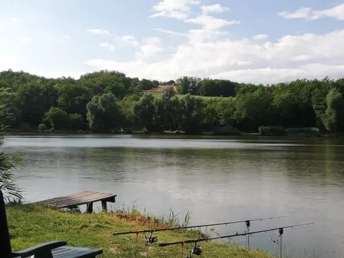 Horgászhely: Mókus horgásztó